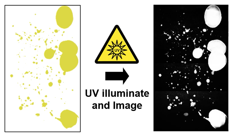 Diagram of spotted paper to UV